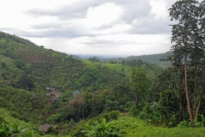 1 Day Trekking Group Tour With Bamboo Cooking / Chiang Rai