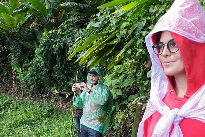 1 Day Trekking Group Tour With Bamboo Cooking / Chiang Rai - Huay Kaew Waterfall and the hot spring stop