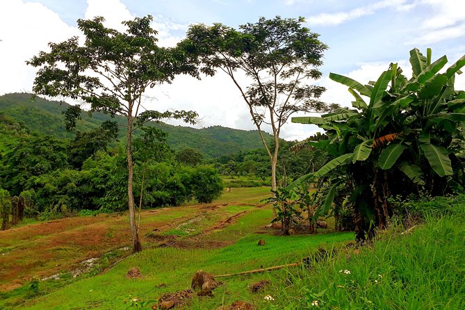 1 Day Trekking Group Tour With Bamboo Cooking / Chiang Rai - What the $58.66 price covers