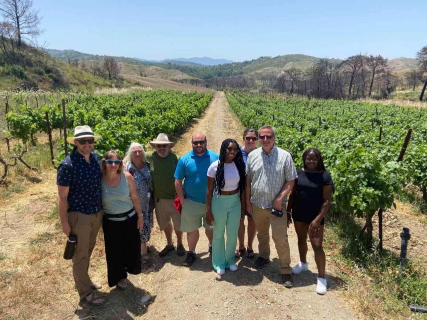 11 Course Lunch, Wine Tasting & Cooking Mastery in Rhodes - A four-hour taste of Rhodes beyond the old town