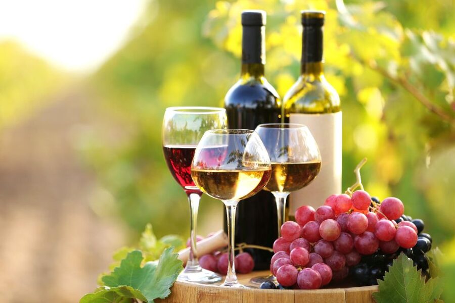 11 Course Lunch, Wine Tasting & Cooking Mastery in Rhodes - Is $160 a fair price?