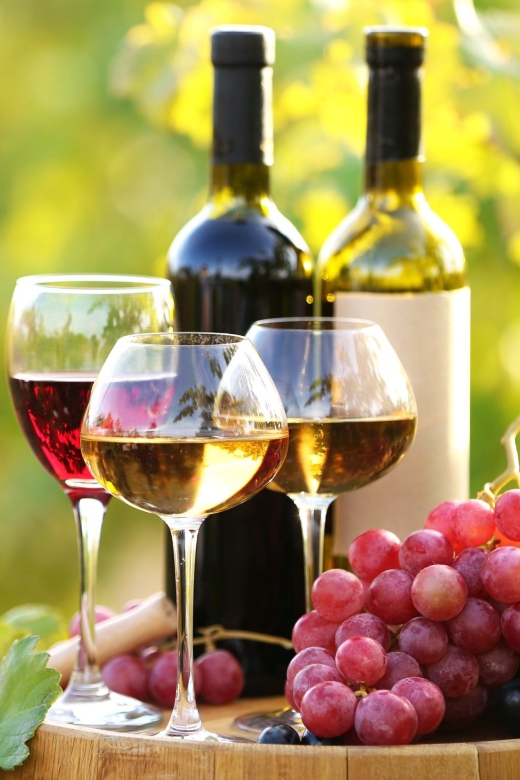 11 Course Lunch, Wine Tasting & Cooking Mastery in Rhodes - Timing, comfort, and possible snags