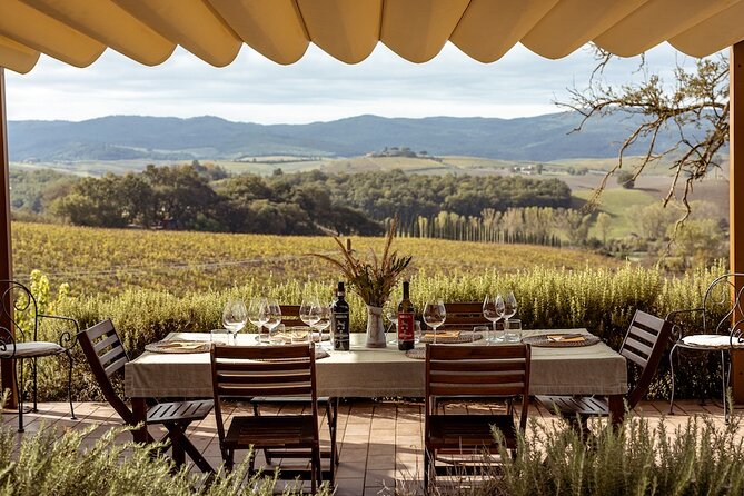 A Brunello Cooking Class with Vineyards View Winery - Is $313.35 a fair price?