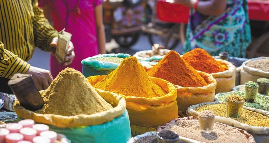 Agra: Indian Food Private Cooking Class - What makes the experience valuable