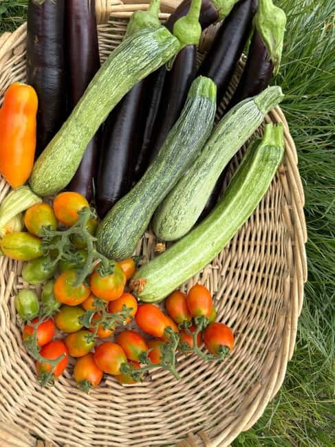 Amalfi Coast: Mozzarella, Pasta and Tiramisù Cooking Class - How much value do you get for $71?