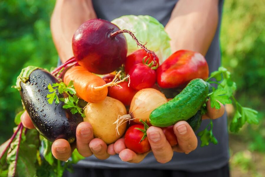 Amalfi: Cooking Class and Farmhouse Visit With Meal - What you may cook during the four hours