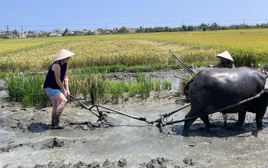 An incredible Hoi An - Water buffalo riding & cooking class - Who should book this Hoi An experience?