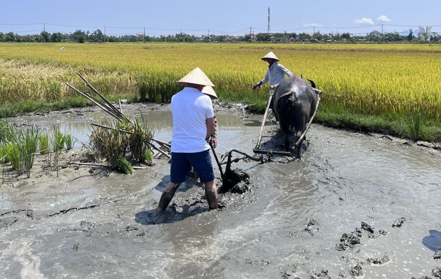 An incredible Hoi An - Water buffalo riding & cooking class - Cooking three Vietnamese dishes