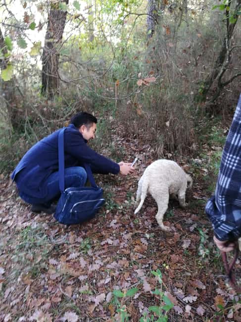 Arezzo: truffle hunting, tasting, and a cooking class with truffles. - Meeting Luigi and Dynamo at Boscovivo