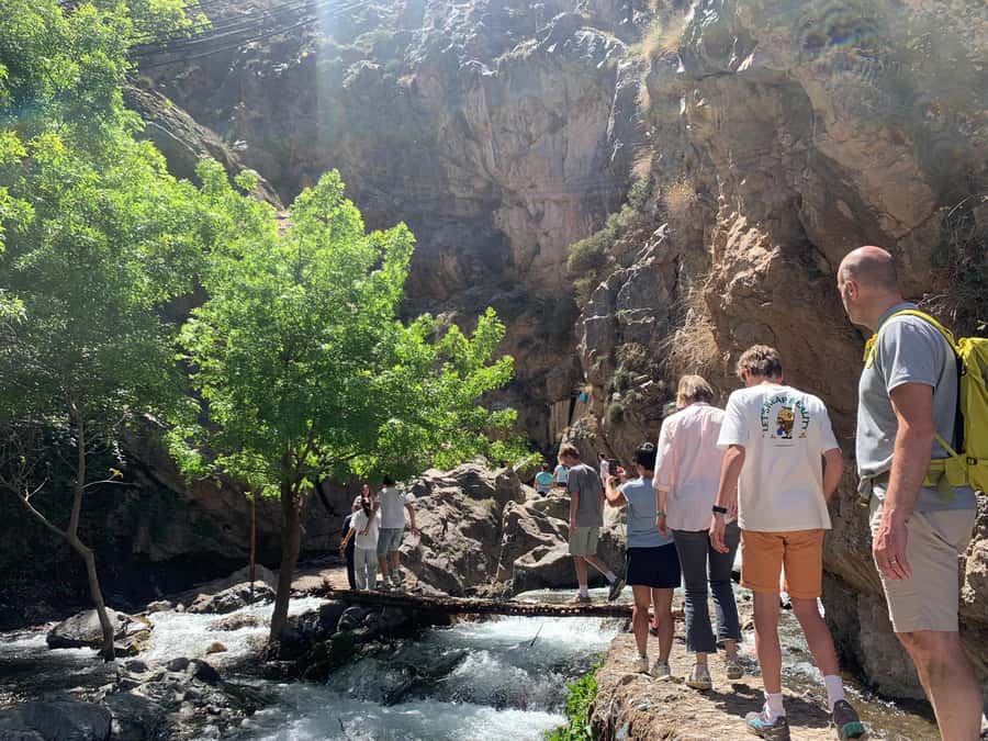 Atlas Mountains Day Trip: Market, Cooking & Village Walk - A 1.5 to 2-hour walk through Berber villages