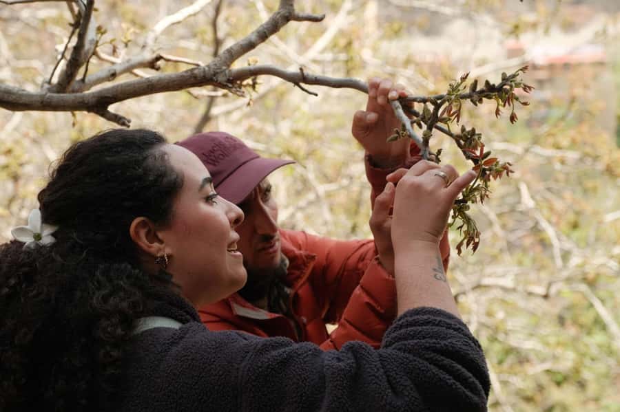 Atlas Mountains Day Trip: Market, Cooking & Village Walk - Who will enjoy this day most