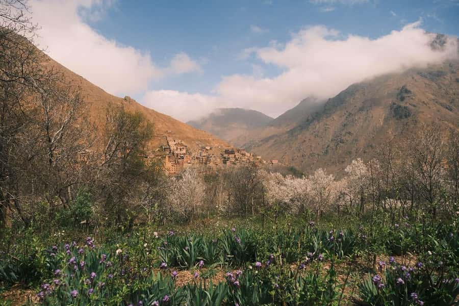 Atlas Mountains Day Trip: Market, Cooking & Village Walk - Cooking in a Moroccan family garden