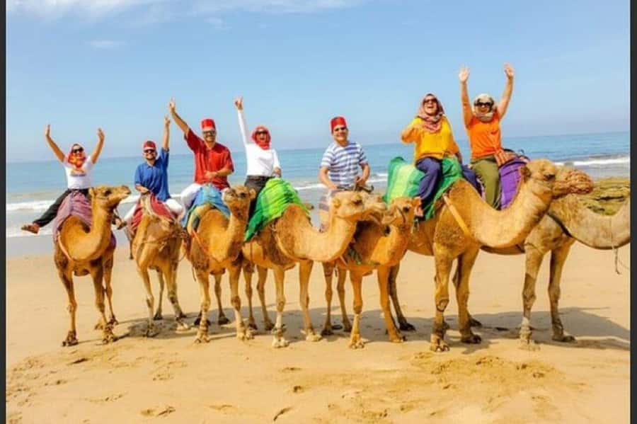 Authentic Luxury, private, TANGIER tour and cooking class - Historic sights explained at a human pace
