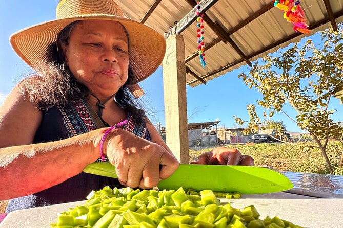 Azteca Tacos Cooking Class - From Cabo’s resort zone to a working Baja rancho