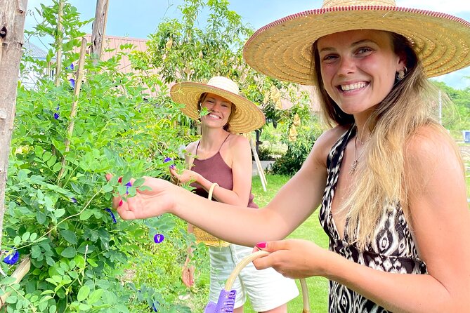 Baan Farm Thai Cooking School Chiangmai - From Chiang Mai’s Old City to the market