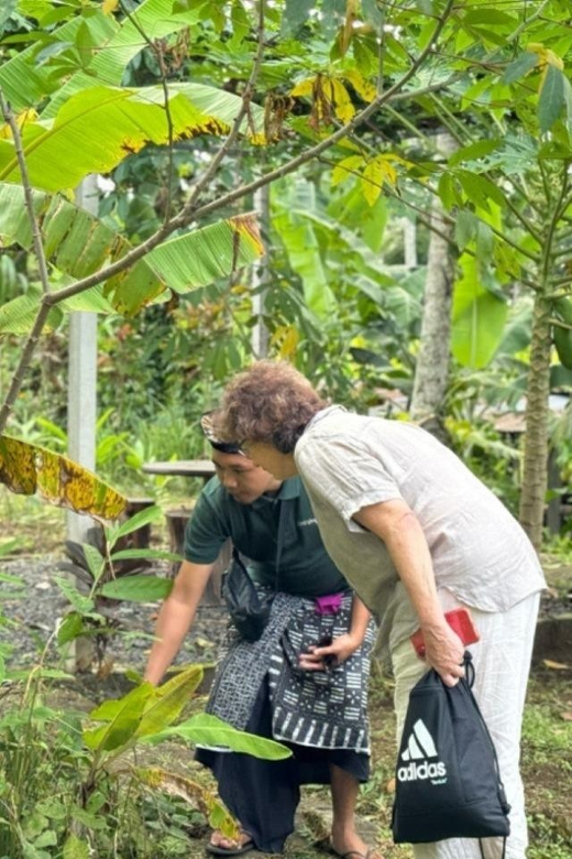 Bali: Cooking Class with Monkey Forest and Art Village Tour - Is $70 a good value?