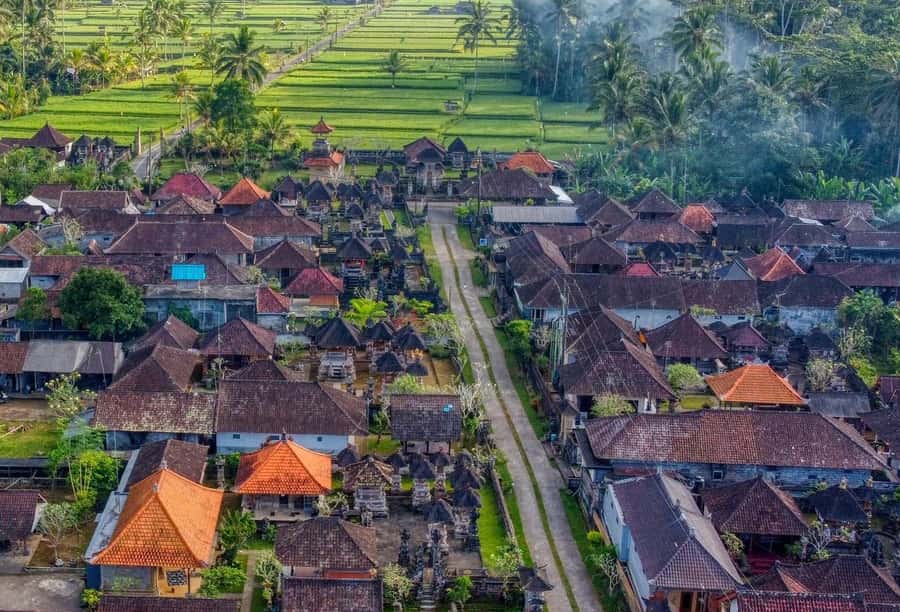 Bali Traditional Village Cooking & Magical Fireflies Tour - Cooking with a Balinese family in Delodsema