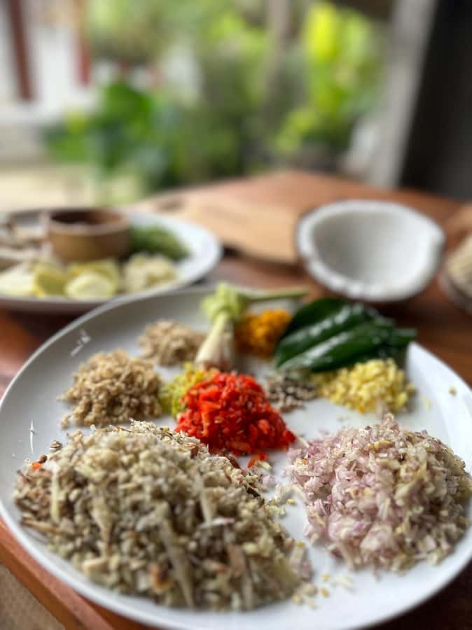 Bali Traditional Village Cooking & Magical Fireflies Tour - Should you book the Delodsema firefly tour?