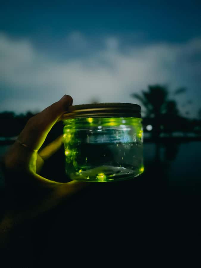 Bali Traditional Village Cooking & Magical Fireflies Tour - Dinner is part of the cultural exchange