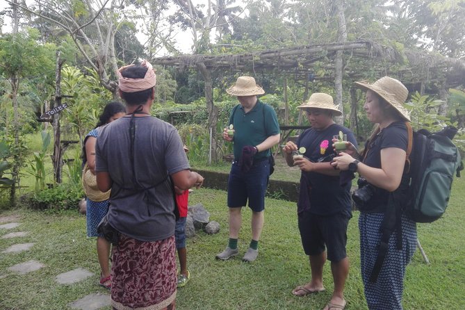Balinese Cooking Class at Organic Farm - Six dishes and a shared lunch