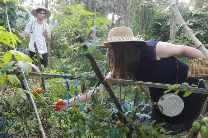 Balinese Cooking Class at Organic Farm - Getting to Mai Organic Farm from Ubud