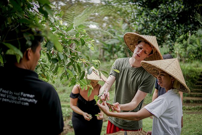 Balinese Farm Cooking Class by Pemulan Bali - Picking ingredients at Pemulan Bali’s organic farm