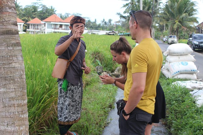 Balinese Ubud cooking school (9 Dish Cooking and Market Tour) - Vegetarian cooking is a proper menu, not an afterthought