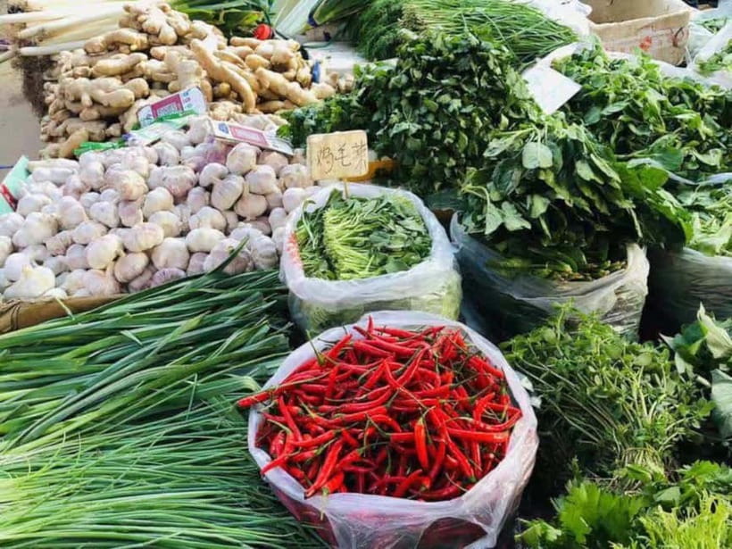 Beijing: Vegan Home Cooking & Local Market Tour with Sanxia - Shopping for Tofu, Mushrooms, and Seasonal Produce