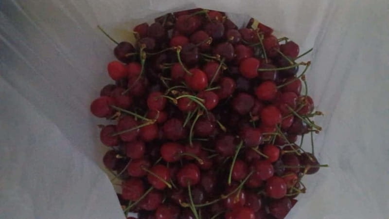 Berat: Farm-to-Table Cooking Class with Local Family - Practical details for a comfortable visit