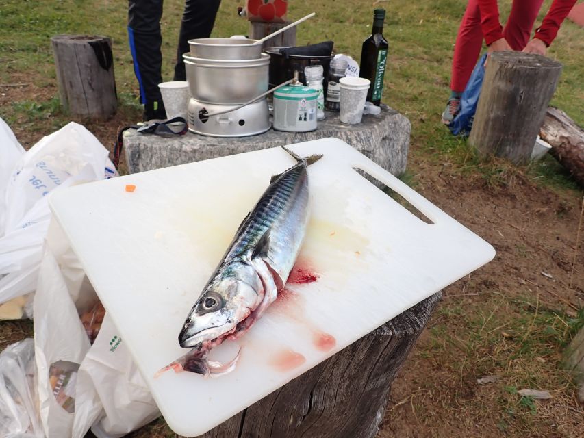 Bergen: Guided Fishing Tour with Outdoor Cooking - Why the changing menu matters