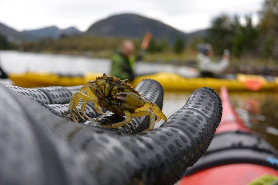 Bergen: Guided Fishing Tour with Outdoor Cooking - Rain, wind, and what to wear