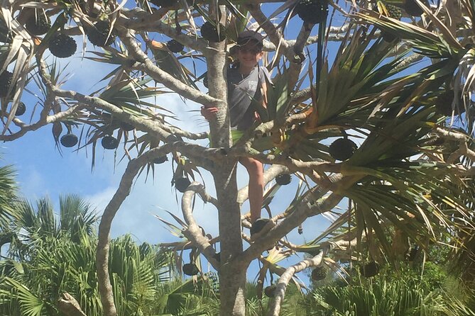 Bermudian Cooking Class" and Walking Shared Tour - Why the Small Group Changes the Day