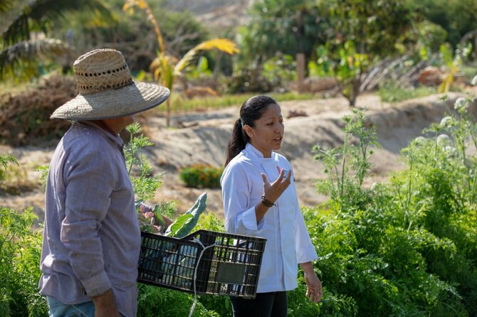 Cabo San Lucas Cooking Classes by Chef Ari - What $125 buys you in Cabo
