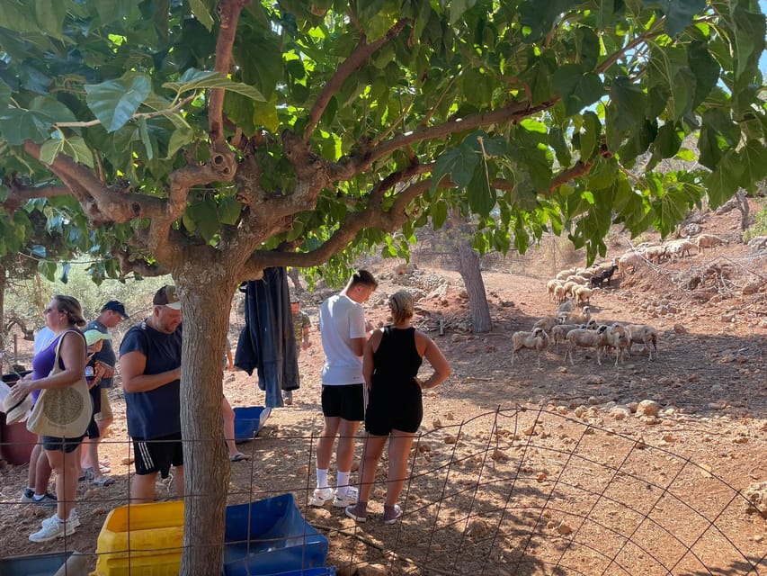 Chania Area: Cooking Class at a Farm in Stylos Village - Lunch with wine, raki, and family conversation