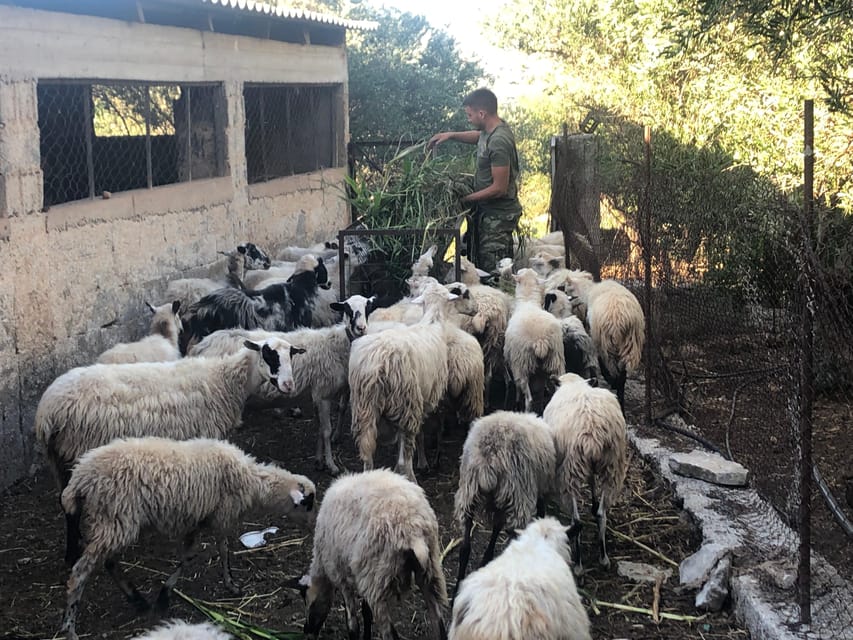 Chania Area: Cooking Class at a Farm in Stylos Village - What the $129 price includes