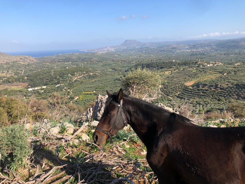 Chania Area: Cooking Class at a Farm in Stylos Village - Who will enjoy this class most