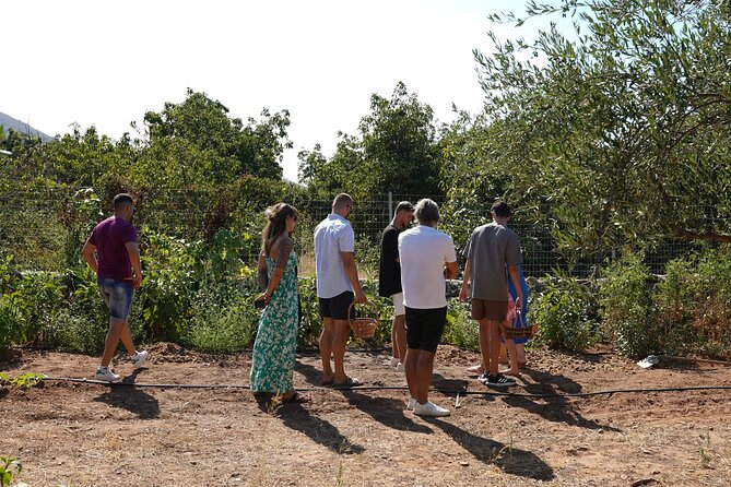 Chania Sourdough Bread Class - Olive Oil Tasting - The wood-fire oven and the moment everyone waits for
