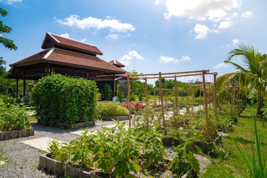 Chiang Mai: Authentic Cooking Class with Market & Farm Visit - Choosing your menu before the burners turn on