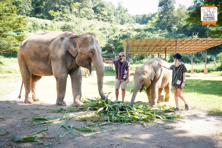 Chiang Mai Elephant Jungle Sanctuary &Mama Noi Cooking Class - Lunch and the change back to Chiang Mai