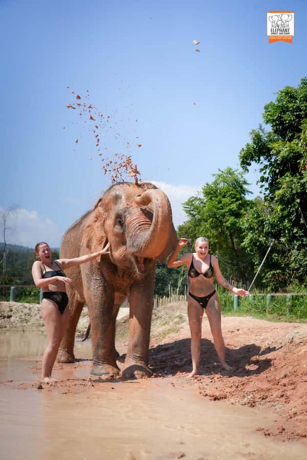 Chiang Mai Elephant Jungle Sanctuary &Mama Noi Cooking Class - What the $93 price includes