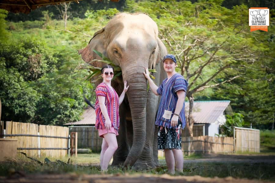 Chiang Mai Elephant Jungle Sanctuary &Mama Noi Cooking Class - Morning drive to the Elephant Jungle Sanctuary