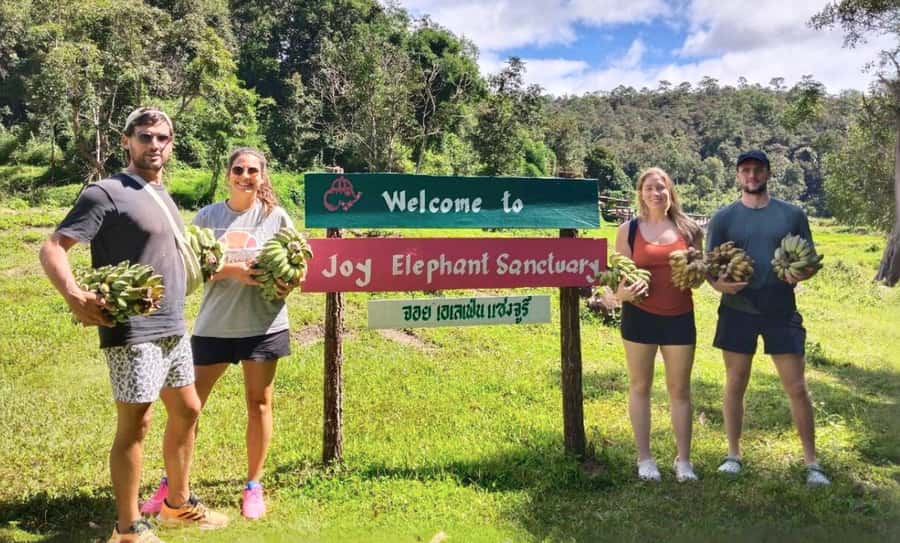 Chiang Mai: Ethical Elephant Sanctuary & Thai Cooking Class - Why this Chiang Mai day works so well