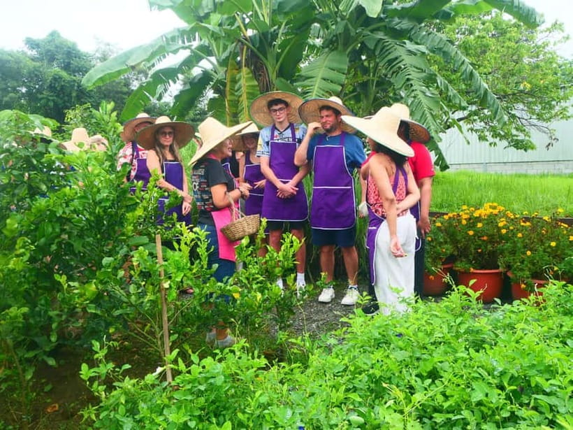 Chiang Mai: Full-Day Thai Cooking Experience at a Local Farm - Seeing Thai ingredients growing in the garden