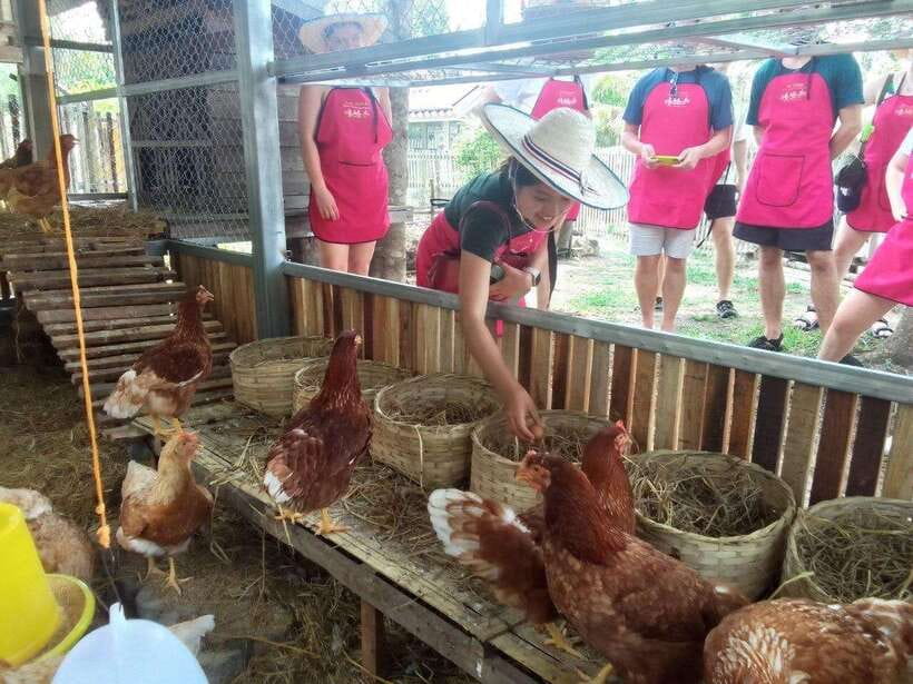 Chiang Mai: Half Day Cooking Class at Organic Farm - A market visit that gives the cooking real context