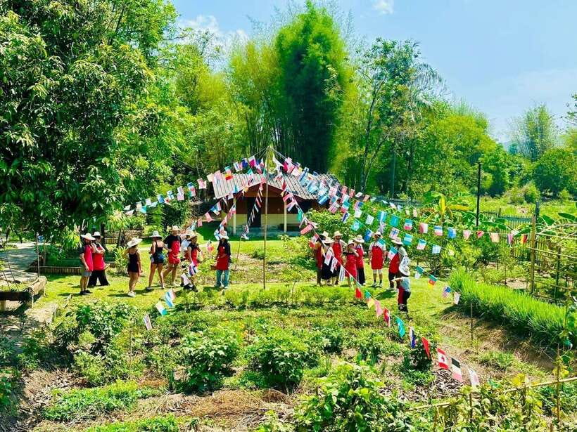 Chiang Mai: Half Day Cooking Class at Organic Farm - Cooking five to six types of Thai food