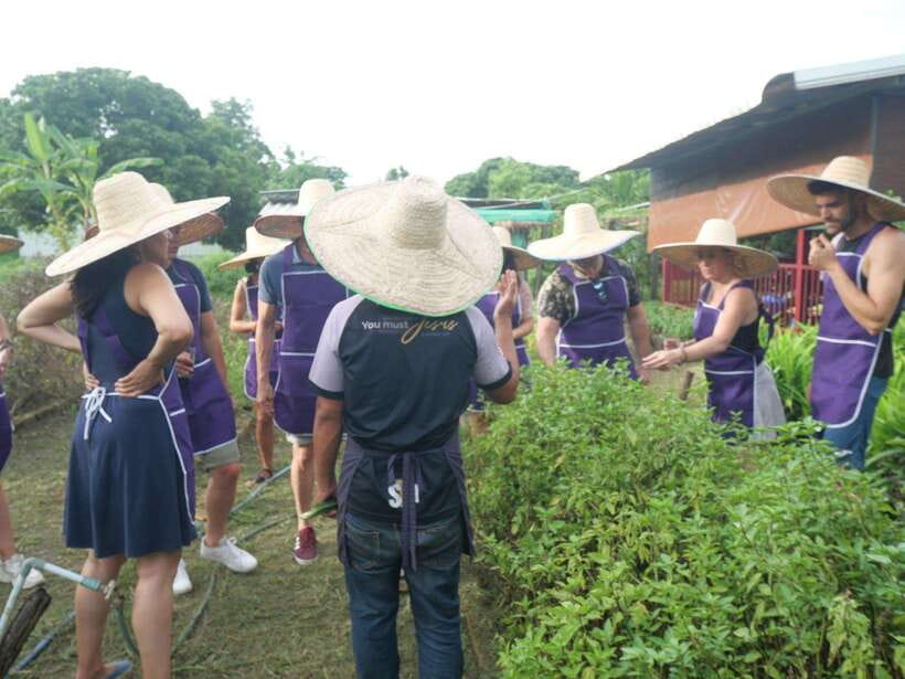 Chiang Mai: Half Day Cooking Class at Organic Farm - Eating what you have made