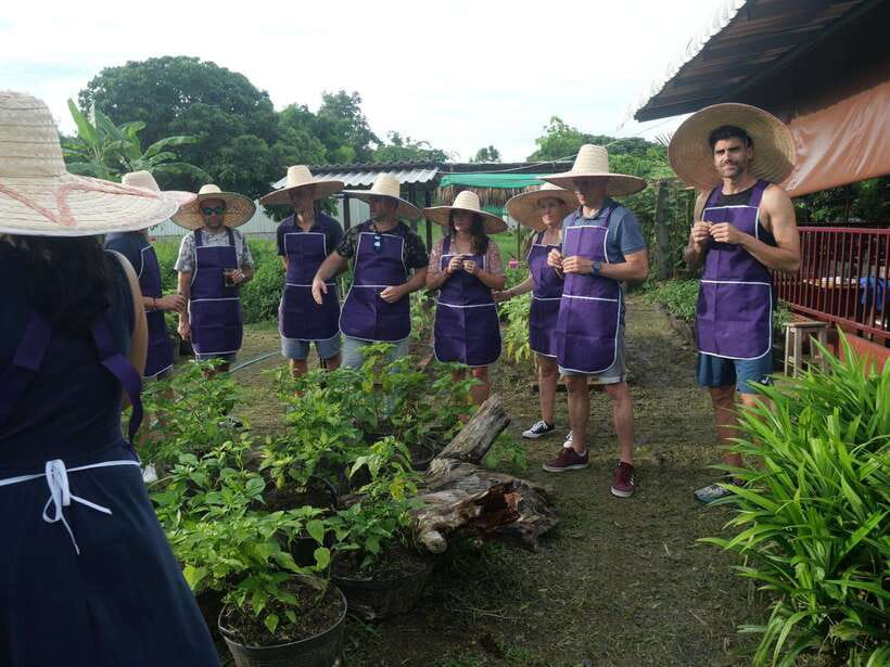Chiang Mai: Half Day Cooking Class at Organic Farm - Three locations, three different moods