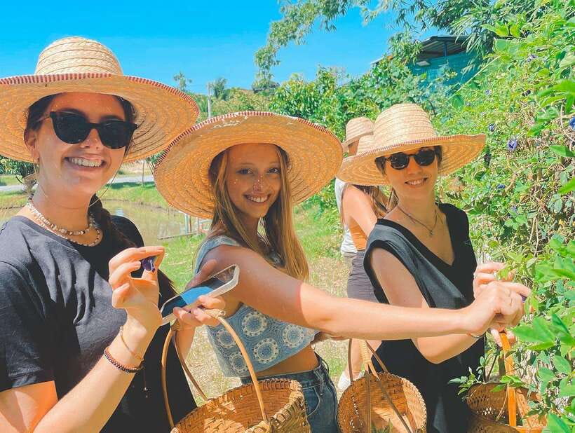 Chiang Mai Organic Thai Cooking Experience - From the city to a working organic garden