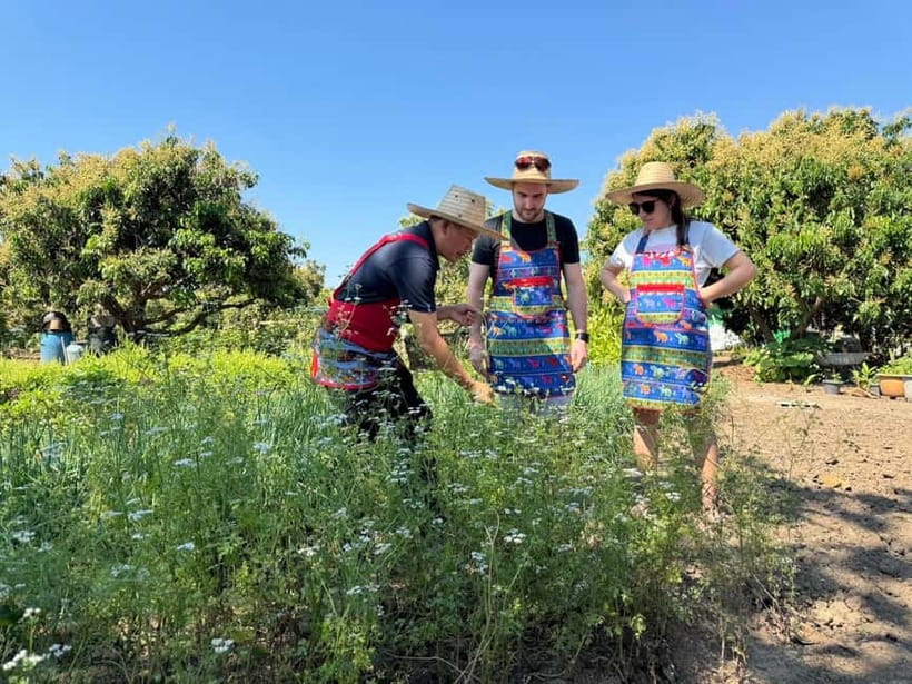 Chiang Mai : Thai Cooking in Farm with a Local Train Trip - Lamphun’s old market and Chama Dhevi monument