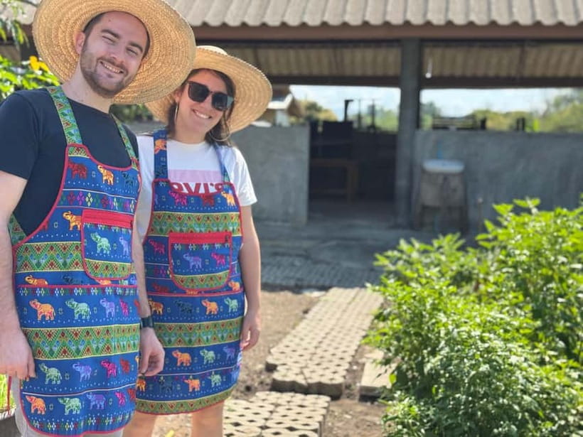 Chiang Mai : Thai Cooking in Farm with a Local Train Trip - Picking herbs, greens, and cooking ingredients
